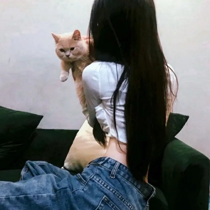 忽然爱上你